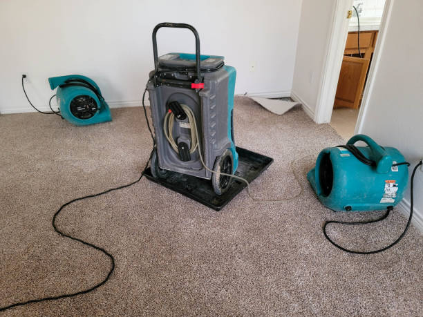 Carpet water damage restoration in Keys, OK