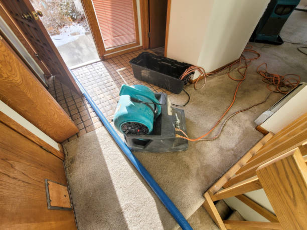 Best Mold removal after water damage  in Keys, OK