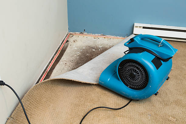 Best Residential water damage restoration  in Keys, OK